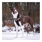 rabbitgoo Dog Harness No Pull Dog Vest Harness Adjustable Reflective Safety Pet Vest Harness Easy Control for Large Dogs with Reflective Straps & 1 LED Light for Safe Night Walking (Black, Large)