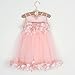 1-6T Kids Girls Mesh Tulle Skirt Dress for Birthday Flower Girl Special Occasion Light Pink