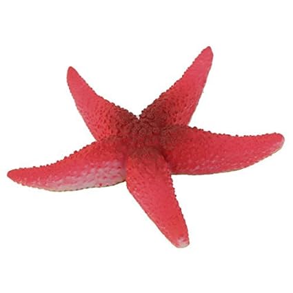 Amazoncom Edealmax Silicone Aquarium Artificiel étoile De