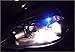 Canbus White Led Light Bulbs for Parking Eyelid Driving License Plates Maps Dome Lights 194 2825 168 192 T10 W5W 10 -PCS - GP Lights USA