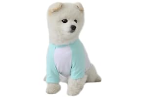 Lucky Petter Dog Cotton Shirts for Small and Large Dogs Raglan T-Shirts Soft Breathable Dog Shirt pet Clothes (X-Small, White/Mint)