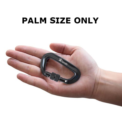 Favofit 12KN Heavy Duty Locking Aluminium Screwgate Carabiner Clips, Pack of 4, Black