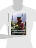 Image de Decentralized Energy Access and the Millenium Development Goals: An Analysis of the Development of Benefits of Microhydropower in Rural Nepal