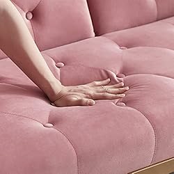 ERYE Upholstered Futon Daybed Loveseat Sofa