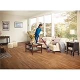 Electrolux Ergorapido