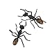 3Pcs Black Plastic Ant Joke Trick Toy