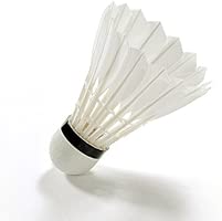 Floorball Schriese De 6pcs Plastic Stable Badminton Shuttlecocks Feather High Quality Sporting Goods Tennis Racquet Sports