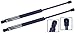 2 Pieces (Set) Tuff Support Rear Glass Window Lift Supports 2000 To 2006 Cadillac Escalade, 2000-2006 Chevrolet Suburban, Suburban 1500, Tahoe, Gmc Yukon, Yukon Xl 1500, 2500