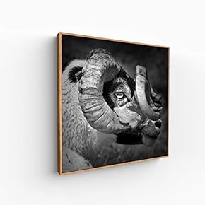 Canvas Wall Art for Living Room, Bedroom Portrait Framed Canvas Prints for Home Decoration Ready to Hang - 16x16 inches