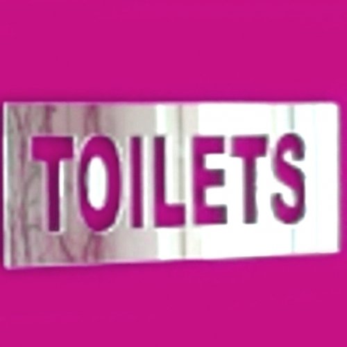 Super Cool Creations Toilets Mirror Sign - 60cm x 25cm