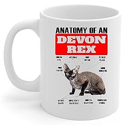 Lovesout Funny Black Devon Rex Cat Anatomy Chart