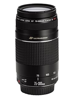 Canon Ef 75 300mm F 4 5 6 Iii Usm Telephoto Zoom Lens 6472a002 Amazon Price Tracker Tracking Amazon Price History Charts Amazon Price Watches Amazon Price Drop Alerts Camelcamelcamel Com