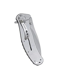 Cuchillo Zing de acero inoxidable Kershaw 1730SS con velocidad segura