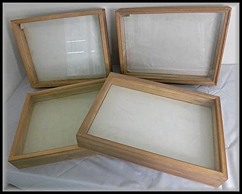 Amazon Zeronet標本ケース 2 標本箱 木 木箱 ガラスケース 昆虫 カブトムシ クワガタ ケース コレクション 40 32 4箱セットp244 おもちゃ ホビー