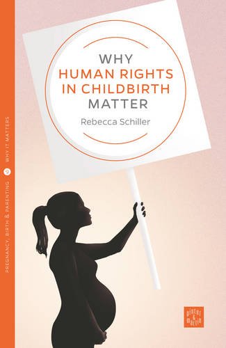 Why Human Rights in Childbirth Matter (Pinter & Martin Why It Matters)