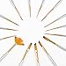 TAMEHOM sdafaesr Set of 15-Miniature Liners Brushes for Fine Detailing,Model, Airplane, Paint by Numbers Supplies Kit, Silver Handle