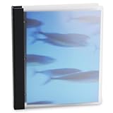 Pina Zangaro Frost Translucent Acrylic 3-Ring Binder, 1-Inch Capacity