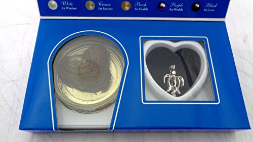 2 Neclace+Pendant+Cultured+Stainless+Turtle