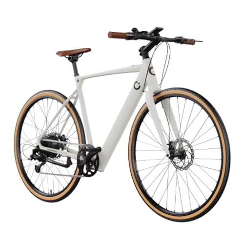 Bicicleta Eléctrica de Ciudad Sprint, 250W, Ruedas de 28", 70 Km de Autonomía, Batería 360 WH, Cambio de 8 Velocidades y Doble Disco de Freno Hidráulico