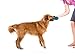 West Paw Zogoflex Air Dash Dog Frisbee – Floatable Flying Disc Pet Toys – High-Flying Aerodynamic Disc for Dogs – Lightweight Chew Puppy Toy for Fetch, Catch, 8” Round, Dandelion