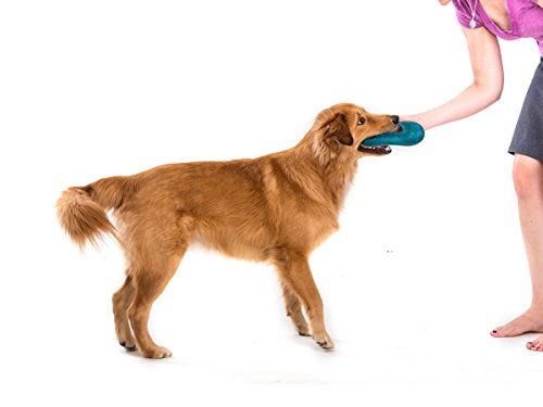 West Paw Zogoflex Air Dash Durable Dog Frisbee Nearly Indestructible Flying Disc Dog Toy, 100% Guaranteed Tough, It Floats!, Made in USA, Large, Dandelion