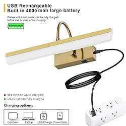 Ralbay Battery Operated Picture Light Gold Modern