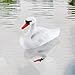 Swan Decor Pond Statue Protector Floating Ornamental Lifesize Goose Bird Hunting Bait Garden Decoration (# 1)