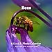 Bees 8.5 X 8.5 Photo Calendar September 2019 -December 2020: Monthly Calendar with U.S./UK/ Canadian/Christian/Jewish/Muslim Holidays-Bees Insects Nature by Lynne Book Press