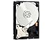 WD RE SAS 4 TB Enterprise Hard Drive: 3.5 Inch, 7200 RPM, SAS, 32 MB Cache - WD4001FYYG