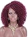 Kalyss Burgundy red Short Afro Kinky Curly Wigs for Women Side Curved Part Natural Looking Big,Bouncy and Super Soft Premium Synthetic Afro Curls Wigs for Women