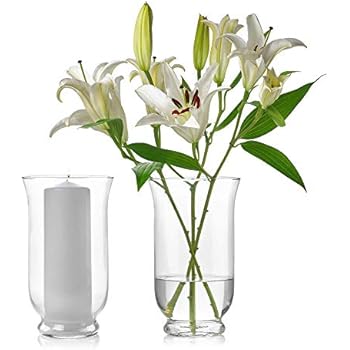 Amazon Com Wgv Clear Flared Hurricane Trumpet Vase Open 10