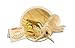 Giant Microbes Louse Plush – Learn About Lice and How to Treat Them, Fun Educational Gift for Family, Friends Doctors, Nurses, Scientists, Insect Lovers and All with a Healthy Sense of Humor