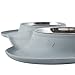 Airisland Stainless Steel Dog Bowl Cat Feeding Station with No Spill No Skid Gray Silicone Mat 24oz Pet Feeder Puppy dishes for Small and Medium Dogs Cats and Pets