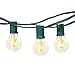 Brightech Ambience Pro - Waterproof LED Outdoor String Lights - Hanging 1W Vintage Edison Bulbs - Patio Globe Lights Create Bistro Ambience in Your Back Yard - 26 Ft, Green