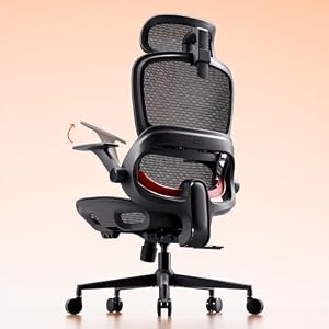 SIHOO B100 オフィスチェア／デスクチェア メッシュチェア 人間工学 疲れない ブラック