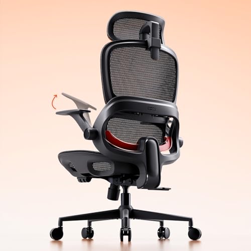 SIHOO B100 Bürostuhl, Bürostuhl Ergonomisch mit Adaptive Lendenwirbelstütze