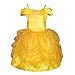 Dressy Daisy Girls' Princess Costume Fancy Dresses up Halloween Party Size 5-6 Gold