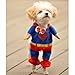 Alfie Pet by Petoga Couture - Superhero Costume Superman - Size: XS