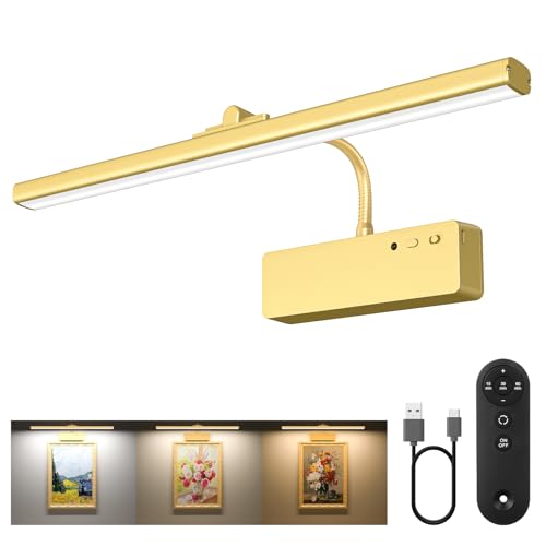 Picture Light
