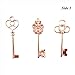 Aokbean Mixed Set of 30 Large Skeleton Keys in Rose Gold - Set of 30 Keys