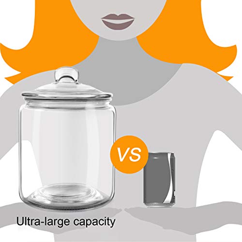 Airtight Glass Jar,Cookie Candy Penny Jar with Leak Proof Rubber Gasket