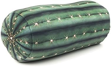 cactus pillow