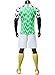 2018 New Season Nigeria Home Soccer Jersey National Jersey White/Green