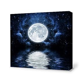 Canvas Wall Art for Living Room,Bedroom Home Artwork Paintings Charming Moon Ready to Hang - 12x12 inches