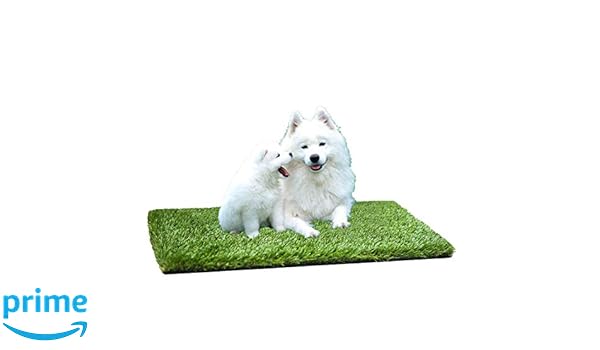 Amazon Com Mtbro Artificial Grass For Dogs Super Soft And