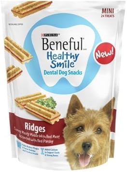 purina dental food