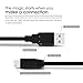 GearIT 2-Pack USB 2.0 Type A to Mini-B Cable (1 Foot / 0.3 Meters) Hi-Speed Mini USB Cable for Smartphones, Tablets, Digital Cameras, MP3 Players, GPS, Portable Hard Drive, Black