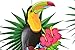 Tropical Luau Tiki Hawaiian Toucan Bird Paper Fans with Palm Leaves Paper Fans Hanging for Summer Jungle Beach Cuban Caribbean Pool Theme Birthday Wedding Bachelorette Party Decorations Supplies