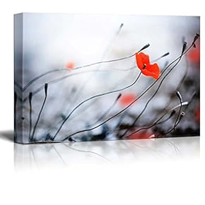 Beautiful Flowers Flora Poppies and Bud Wall Decor Wood Framed