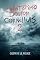 Livro O misterioso doutor Cornélius 2